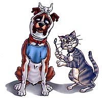 Your Pet's Dental Care