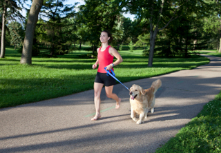 Most dog friendly cities