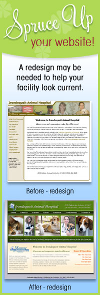 Redesigned Website