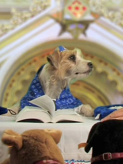 Elvis Best at his bark mitzvah