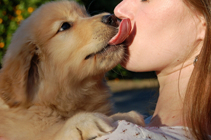 dog_kiss_small.jpg