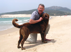 Dogs encourage people to walk more.