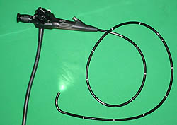 Flexible Endoscope