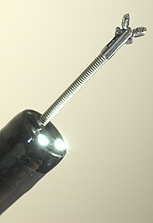 Magnified Endoscope Tip With Retrieval Piece