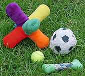 Dogs naturally love to chew, so give your dog plenty of chew toys.