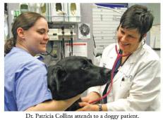 Valley Cottage Animal Hospital