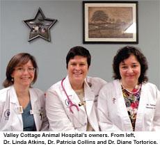 Valley Cottage Animal Hospital