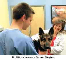 Valley Cottage Animal Hospital