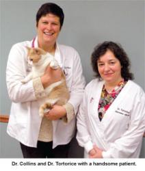 Valley Cottage Animal Hospital