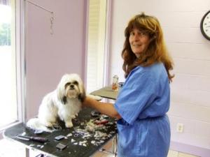 Cindy grooming little shaggy dog