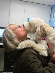 Scout kissing owner Marily Tauber