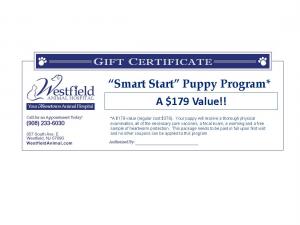 Smart Start Puppy Program