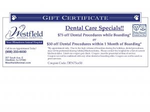 Dental Care Specials!!