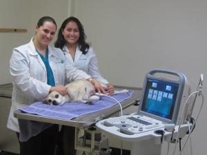 Ultrasound 2014 - Drs. Bonilla & McD
