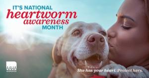 AAHA Heartworm