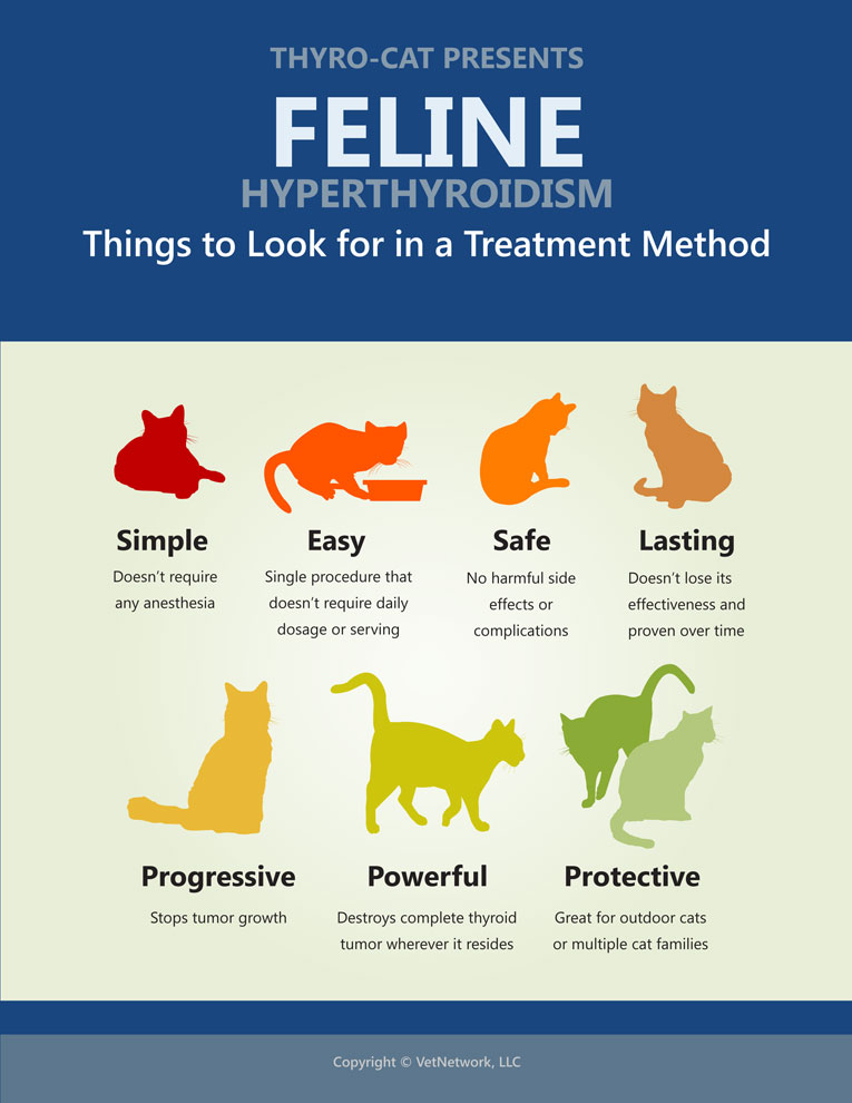 Best Cat Food For Feline Hyperthyroidism At Stacey Fox Blog