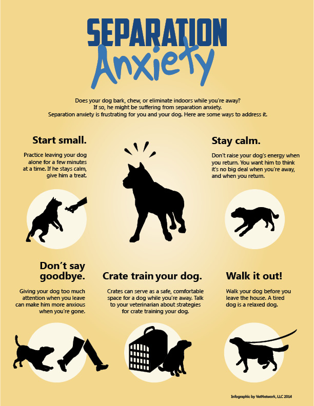 Separation Anxiety in Dogs - Winnebago County Animal Services