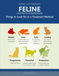 Feline Hyperthyroidism Treatment