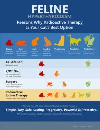 Radioiodine Therapy